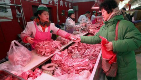 china cerdo infocampo