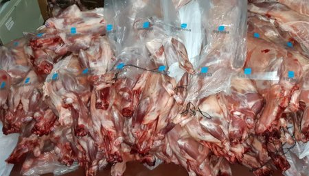 caprinos decomisados Senasa