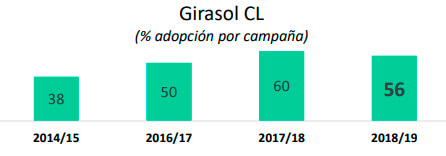 girasol cl bolsa de cereales