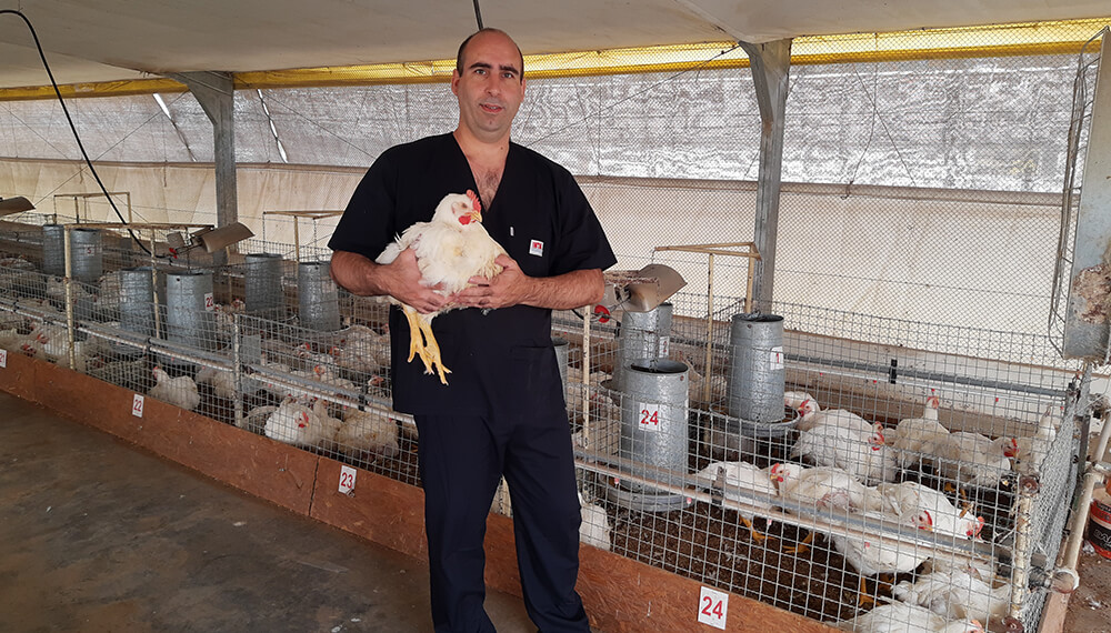 Avicultor del INTA con un pollo