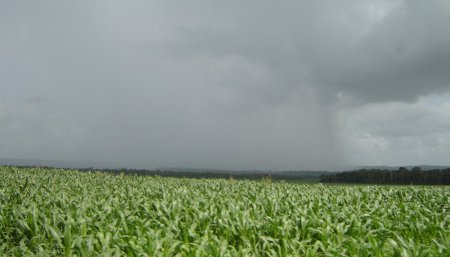 Lluvias: se recuperó la condición hídrica en enero 2020