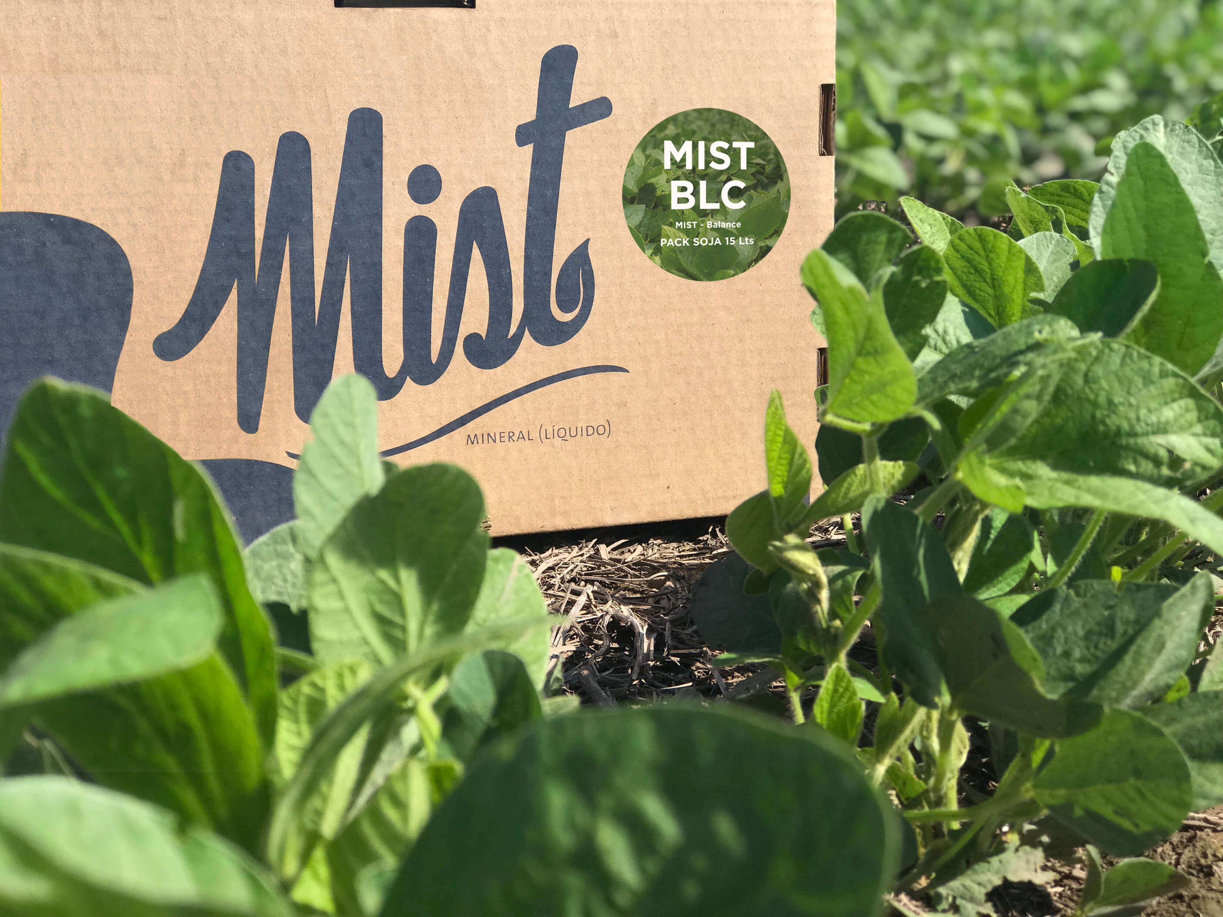 Mist Balance 1