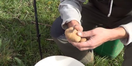 Cómo sembrar papa y zanahoria: el dúo ideal para cultivar en verano