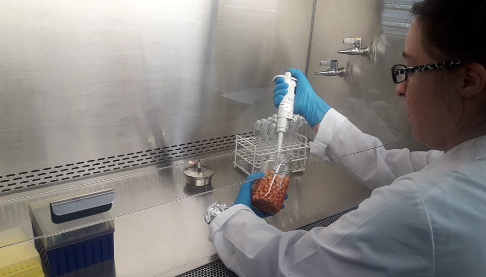 Mujer trabajando en un laboratorio con semillas