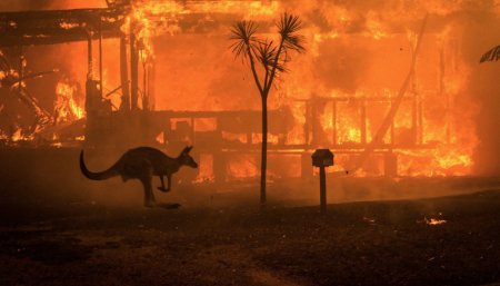 Australia incendios