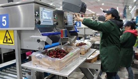 fábrica exportación neuquén