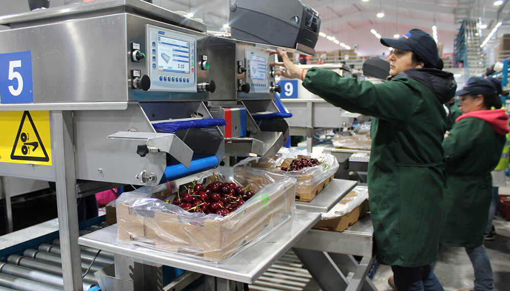 fábrica exportación neuquén