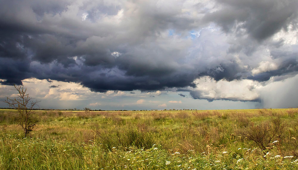 Tormenta en el campo