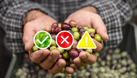 economias regionales