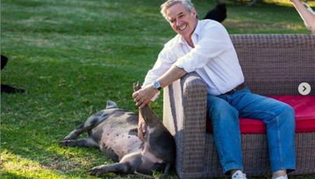 Felipe Sola Chancha Pelota