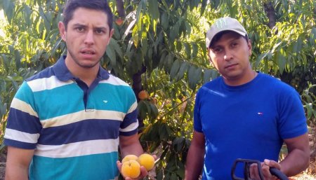 Productores de durazno Pedro Manzano Eber Perez Plaza