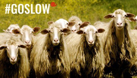 Campaña de slow food con cabras