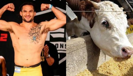 Emiliano Sordi Feedlot