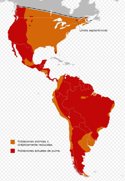 distribución del puma