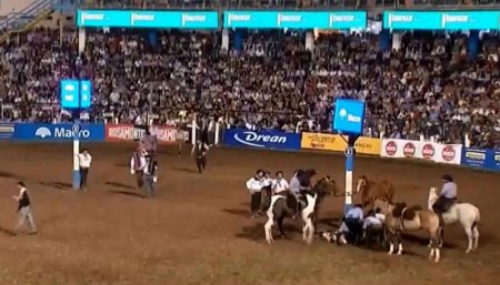 Lesión de un caballo en Jesús María