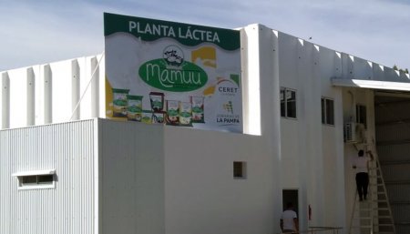 Mamuu planta lactea La Pampa