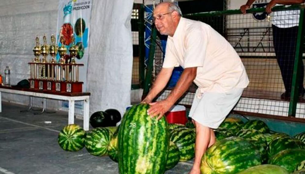 productor con una sandía