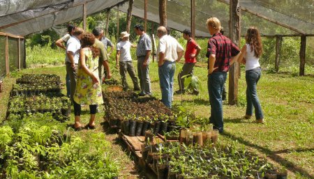 vivero plantines San Juan