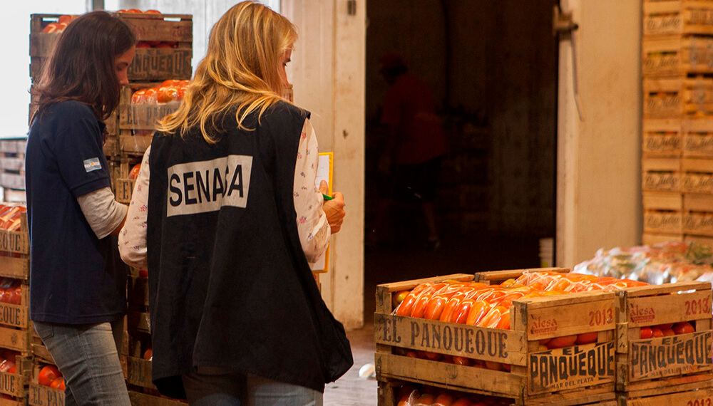Paro por 48 horas en el Senasa: no habrá exportaciones ni controles en las fronteras