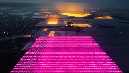 invernadero en paises bajos