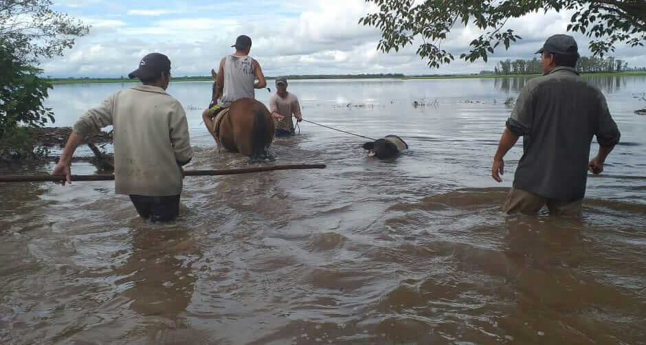 inundación