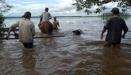 Inundaciones en tucumán