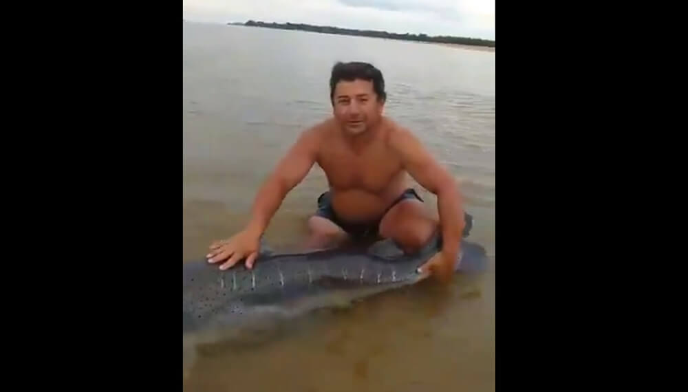 hombre con un surubí en el río paraná