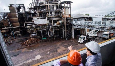 central de biomasa en chaco