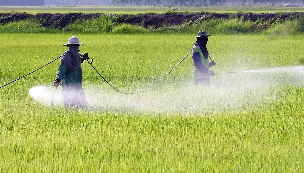 campo aplicaciones herbicidas