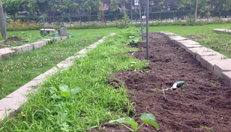 malezas en la huerta