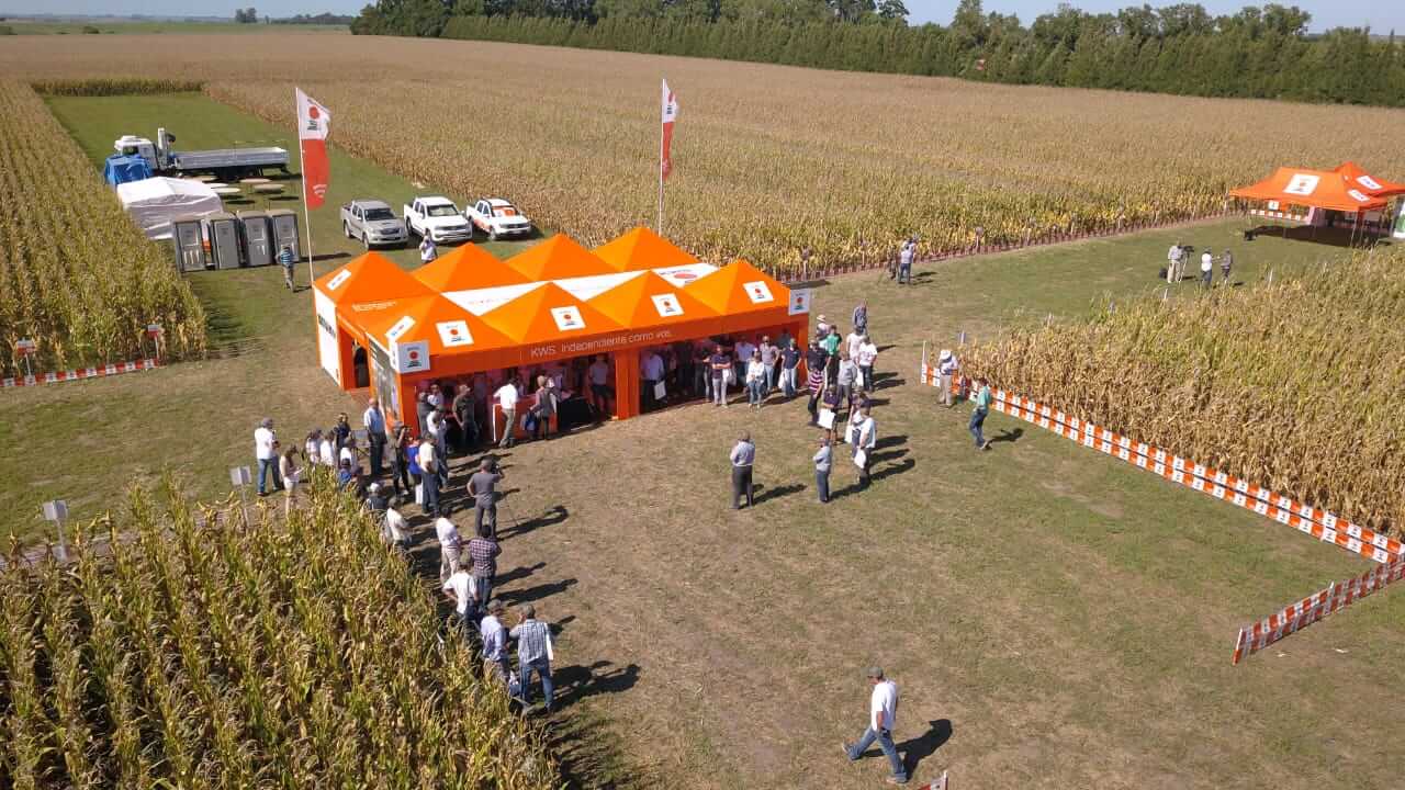 campo cultivos demostración