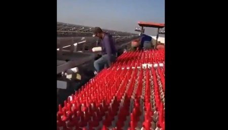 Crianza a gran escala de terneros