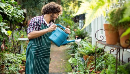 hombre regando plantas en huerta