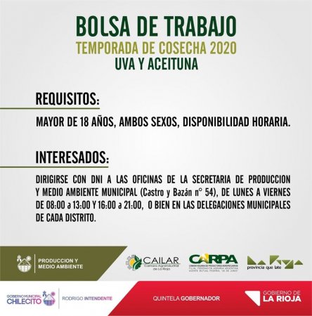 Preocupante, necesitaban 3.000 cosecheros de uvas y aceitunas en La Rioja y se presentaron tres