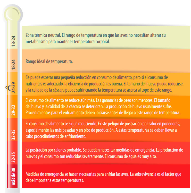 tabla gallinas ponedoras