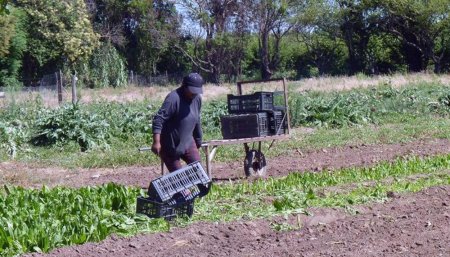 trabajador rural