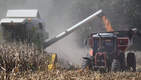 Coronavirus - Cosecha 2019_20 - Maiz