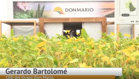 Expoagro 2020 - Stand de DonMario