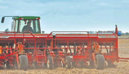 Siembra - Clima - Agricultura