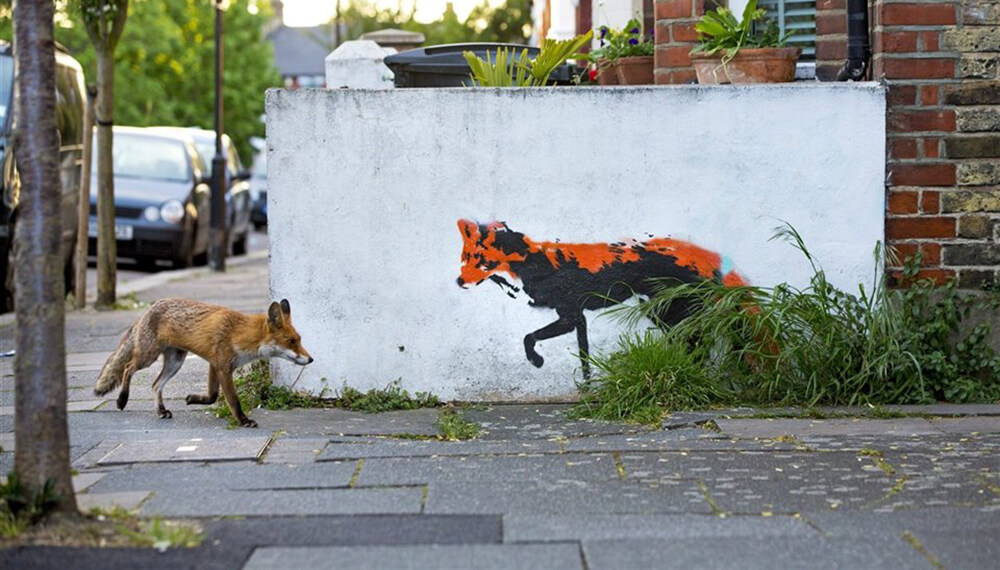 zorro en las calles de londres