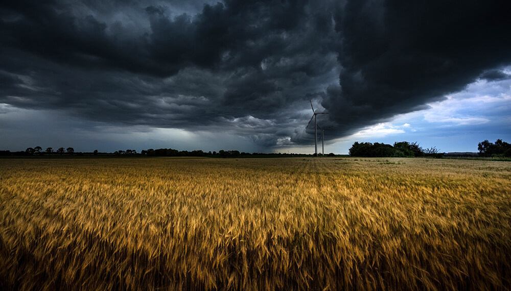tormenta en el campo