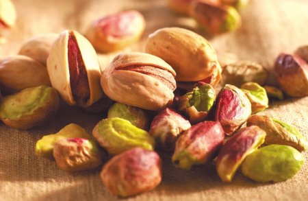 Pistacho: el INTA logr&oacute; la primera polinizaci&oacute;n artificial para obtener semillas h&iacute;bridas
