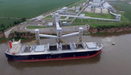 Renova - Rosario - Glencore - Vicentin