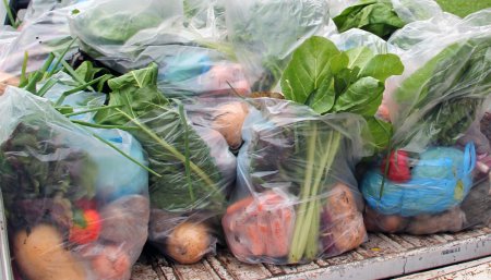 bolson verduras agroecologicas