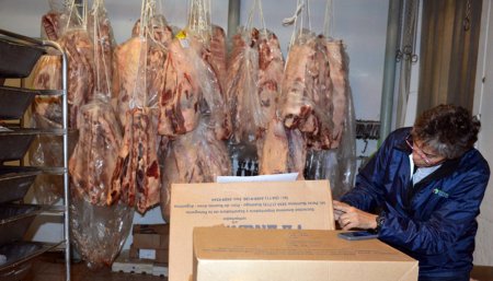 carne podrida venado tuerto