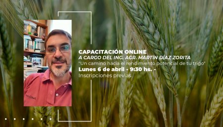 stoller capacitacion diaz zorita