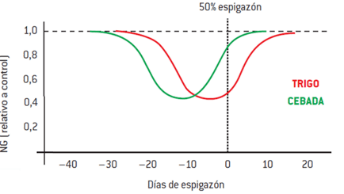 gráfico