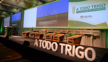 A todo trigo