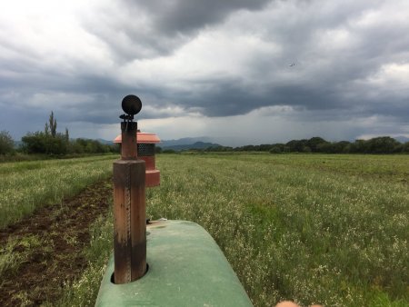 Clima - Lluvia - Niño