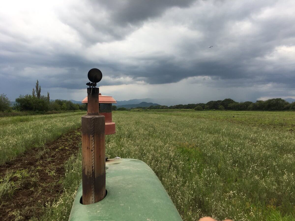 Clima - Lluvia - Niño